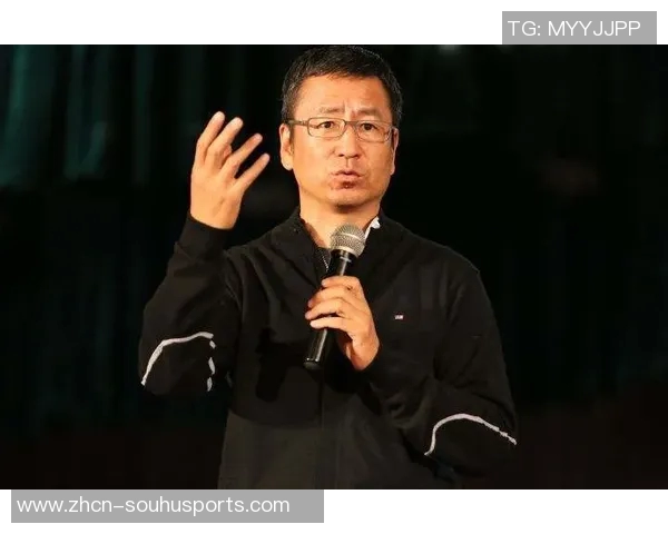 白岩松谈足球：从赛场激情到人生哲理的深刻思考与启示